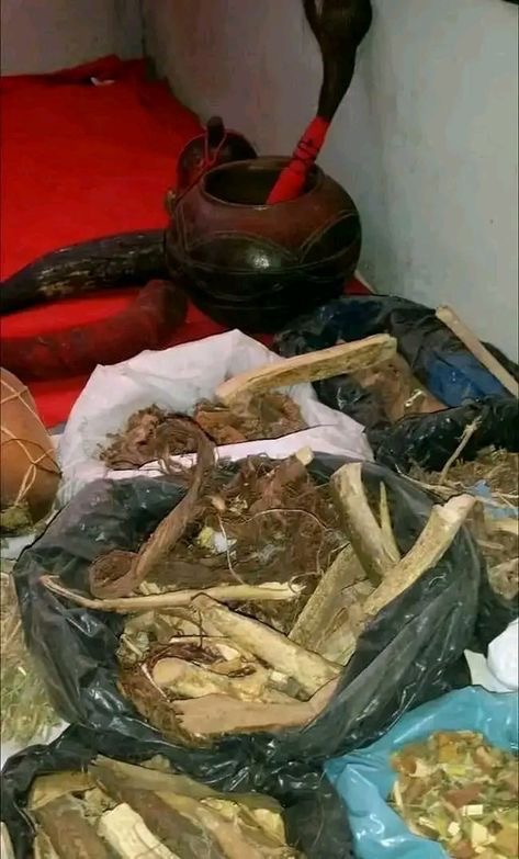 1002473198310417046-IdeaPin-page-1-image